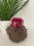 Load image into Gallery viewer, Fuschia Pink Tagua Winter Spring Bracelet