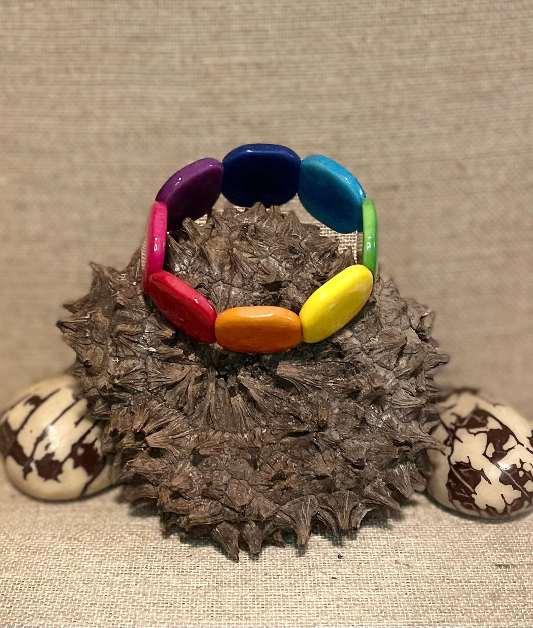 Rainbow Tagua Nut Bracelet