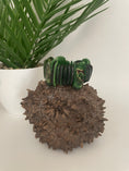 Load image into Gallery viewer, Green Tagua Autumn  Spring Bracelet
