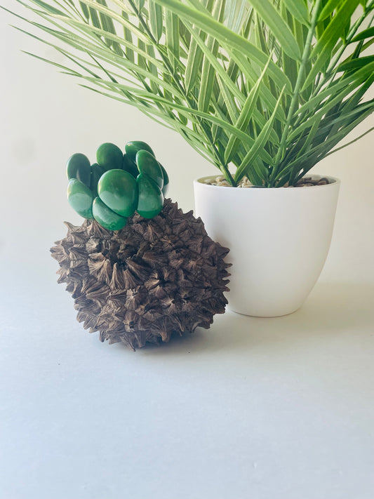 Green Tagua Nut Stretchable Bracelet
