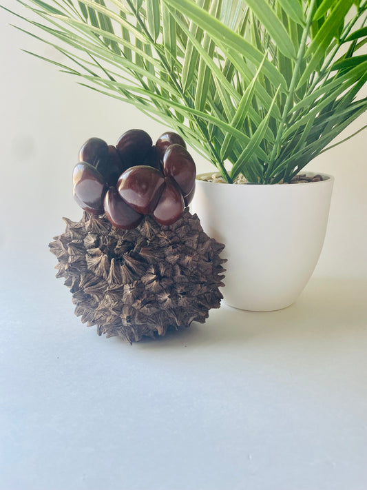 Handmade Brown Teardrop Tagua Nut Stretchable Bracelet – Sustainable Vegetable Ivory Jewelry