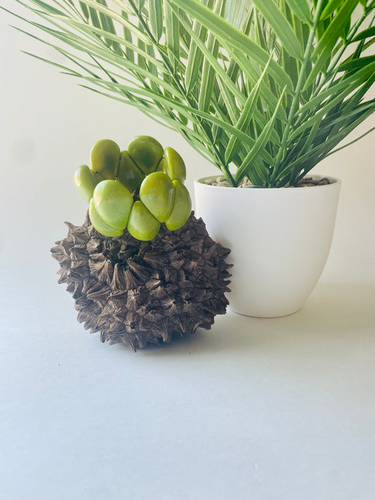 Handmade Lime Green Teardrop Tagua Nut Stretchable Bracelet – Sustainable Vegetable Ivory Jewelry