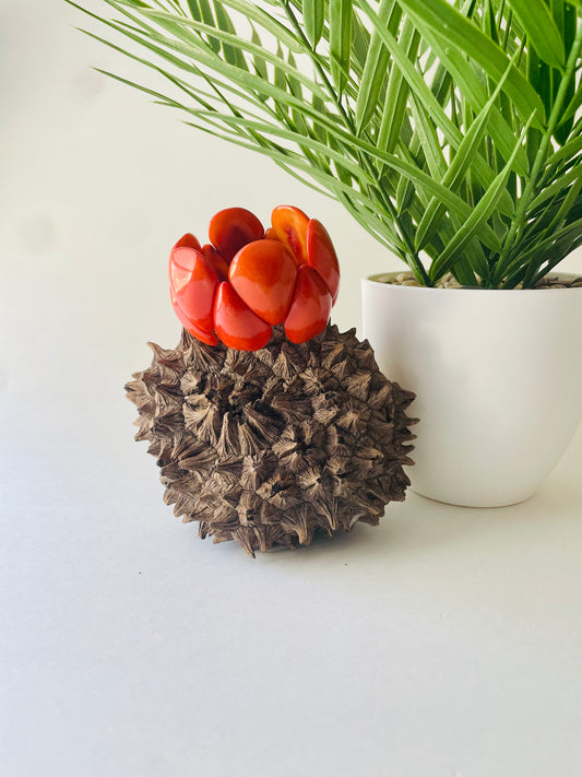 Orange Tagua Nut Stretchable  Bracelet