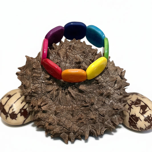 Rainbow Tagua Nut Bracelet